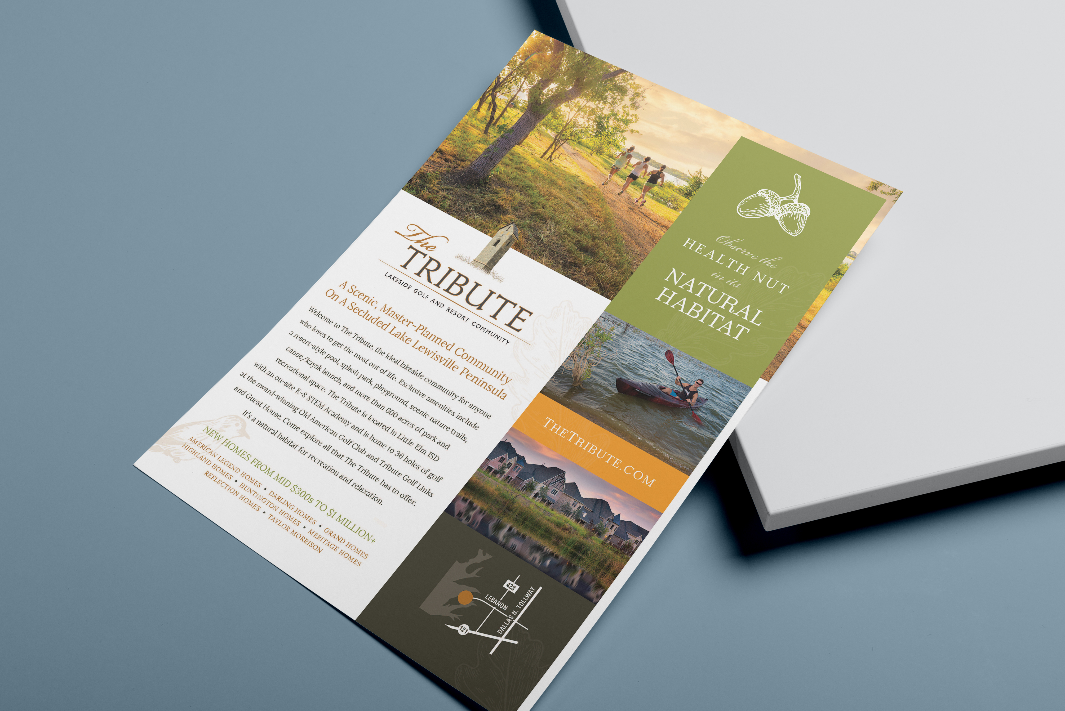 Brochure